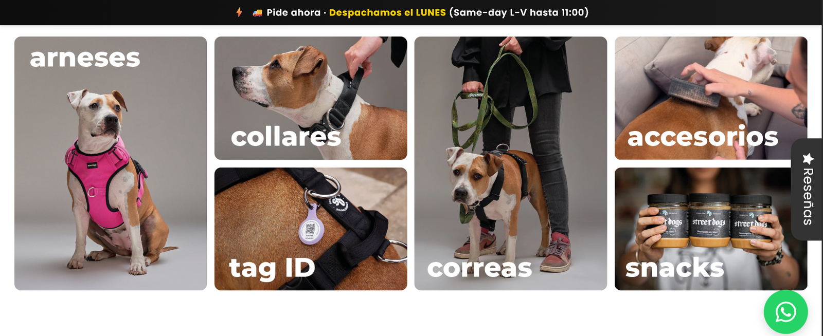 Street Dogs sitio referencia 1